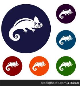 Chameleon icons set in flat circle reb, blue and green color for web. Chameleon icons set