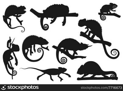 Chameleon lizard, animal reptile silhouettes icons, vector. Cartoon chameleon or cameleon in camouflage sitting on tree branch, jungle tropical lizard and exotic pet, zoology park or wildlife nature. Chameleon lizard, animal reptile silhouettes icons