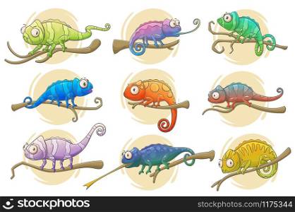 Chameleon lizard icons of reptile animals vector design. Colorful chameleons sitting on branches of exotic tropical forest or jungle tree with long tails, tongues and bright camouflage patterns. Chameleon lizard icons of bright reptile animals