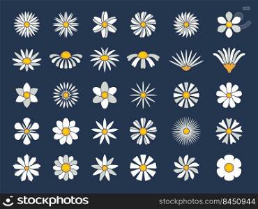 Chamomile collection. Botanical flowers set healthy stylized herbas cartoonic blossom chamomiles recent vector flat pictures isolated. Botanical chamomile flower blossom. Chamomile collection. Botanical flowers set healthy stylized herbas cartoonic blossom chamomiles recent vector flat pictures isolated