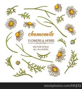 chamomile elements vector set. chamomile elements vector set on white background