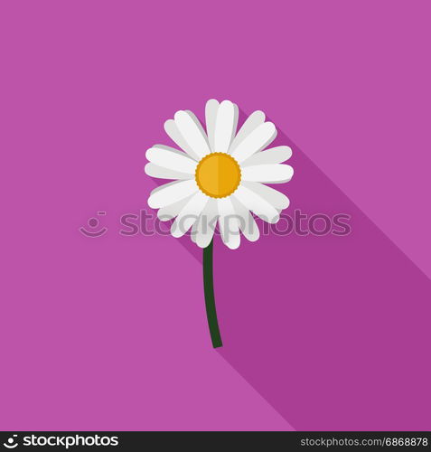 Chamomile flat icon. Chamomile flower in flat style with long shadow