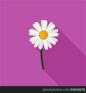 Chamomile flat icon. Chamomile flower in flat style with long shadow