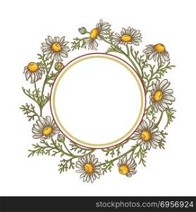 chamomile flower vector frame. chamomile flower vector frame on white background