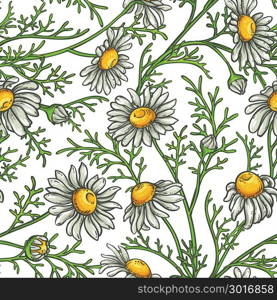 chamomile flower vector pattern. chamomile flower vector pattern on white background