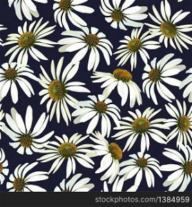 Chamomile flowers. Seamless vector patern with isolated colorful plants. floral background. Chamomile flowers. Seamless vector patern with isolated plants.