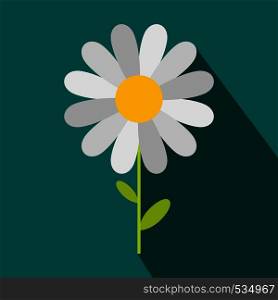 Chamomile icon in flat style on a blue background. Chamomile icon in flat style