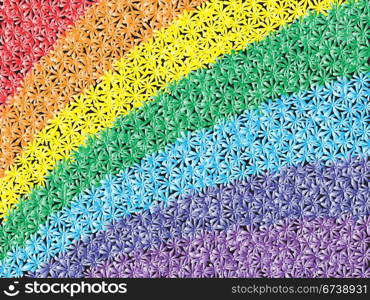 chamomile rainbow. vector
