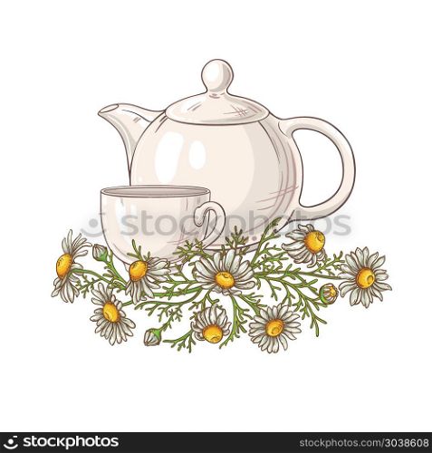 chamomile tea illustration. chamomile tea in teapot illustration on white background