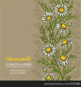 chamomile vector background. chamomile flowers vector pattern on color background