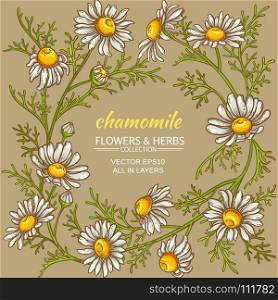 chamomile vector frame. chamomile flowers vector frame on color background