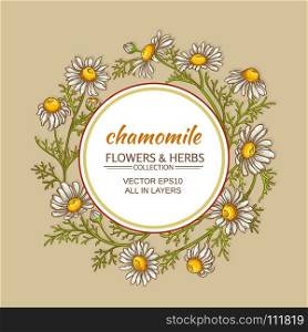 chamomile vector frame. chamomile flowers vector frame on color background