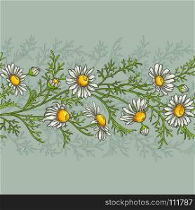 chamomile vector pattern. chamomile plant vector pattern on color background