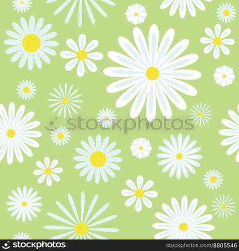 Chamomiles seamless pattern vector image