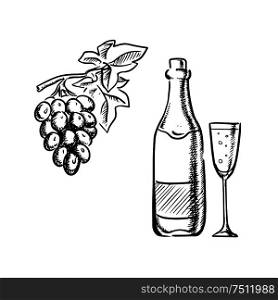 Champagne or sparkling wine bottle with filled glass and grapevine with bunch of grape fruits, outline sketch style. Wine bottle, glass and grapes sketch
