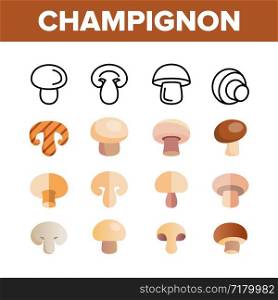 Champignon, Edible Mushroom Vector Linear Icons Set. Whole Champignon. Cooking Ingredient, Organic Food Thin Line Pictograms. Fungi, Autumn Forest Fungus, Edible Mushrooms Flat Illustration. Champignon, Edible Mushroom Vector Linear Icons Set