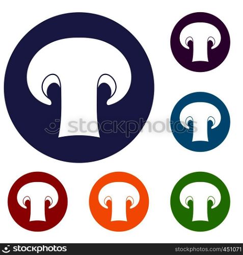 Champignon mushroom icons set in flat circle reb, blue and green color for web. Champignon mushroom icons set