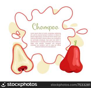 Champoo exotic juicy fruit vector poster with frame and place for text. Java apple, Semarang rose-apple and wax jambu, Syzygium samarangense. Tropical edible food icon vector. Champoo Exotic Juicy Fruit Vector Isolated. Java apple
