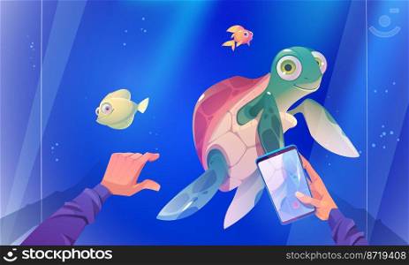 Character record video of turtle swimming in aquarium with fishes. Visitor in oceanarium with sea animals, cute tortoise reptile swim in blue water behind of glass wall, Cartoon vector illustration. Character record video of turtle swim in aquarium