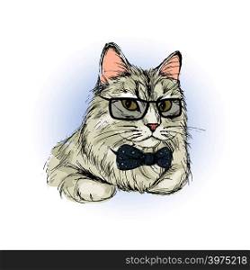 Charming male cat with bow , hand drawing vector illustration. Charming male cat , hand drawing