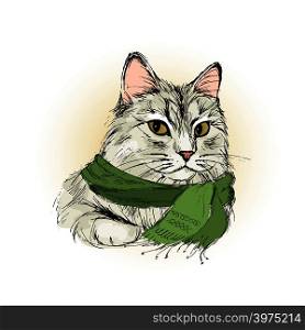 Charming male cat with scarf, hand drawing vector illustration. Charming male cat , hand drawing