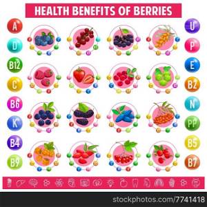 Chart table content of vitamins and minerals in berries. Vector graph health benefits of blueberry, black chokeberry, sea buckthorn and raspberry. Strawberry, cranberry, gooseberry and honeysuckle. Chart table content of vitamins mineral in berries