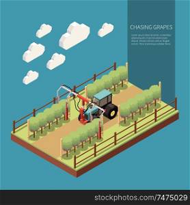 Chasing grapes in vine yard isometric composition with embossing machine in work process vector illustration