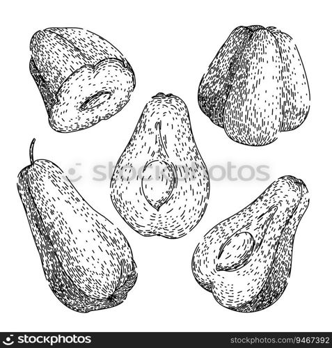 chayote healthy set hand drawn. organic nutrition, edible fresh, nutritious raw chayote healthy vector sketch. isolated black illustration. chayote healthy set sketch hand drawn vector