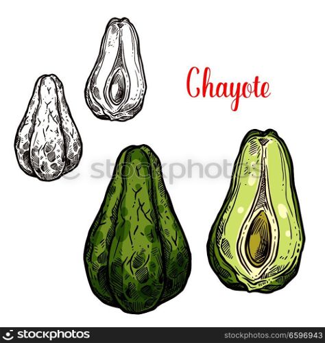 Chayote vegetable sketch of exotic edible plant. Tropical american or mexican squash isolated icon of green pear shaped veggies for vegetarian salad recipe menu or farm market label design. Chayote vegetable of exotic mexican plant sketch
