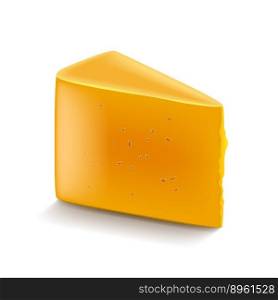 Cheddar cheese isolated on white vector image