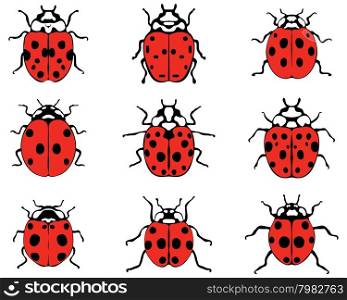cheerful ladybugs