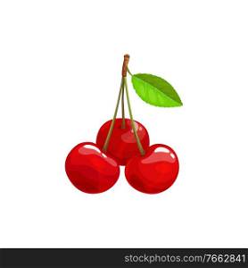 Cherry berries fruits, food from farm garden and wild forest, vector flat isolated icon. Cherries bunch organic harvest for jam dessert or juice drinks. Cherry berries fruits, food of garden forest