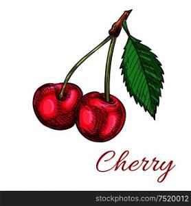 Cherry berries. Isolated bunch of cherries on stem with leaves. Fruit and berry product emblem for juice or jam label, packaging sticker, grocery shop tag, farm store. Cherry berries vector icon