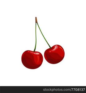 Cherry berries isolated vector wild or garden ripe plant. Cartoon fresh two cherries on green stem, healthy food, organic natural raw production, merry design element on white background. Cherry berries on green stem isolated vector plant