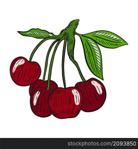 Cherry berries on a branch. Isolated vector illustration. Useful natural organic food. Red sweet cherry on a branch with leaves