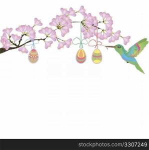 cherry blossom and hummingbird on a white background