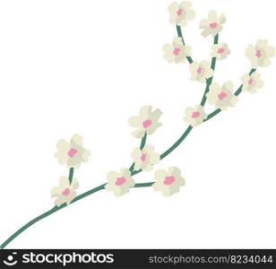 Cherry Blossom Branche. Vector flat minimal spring design.. Cherry Blossom Branche isolated on transparent background. Vector flat minimalistic spring design.