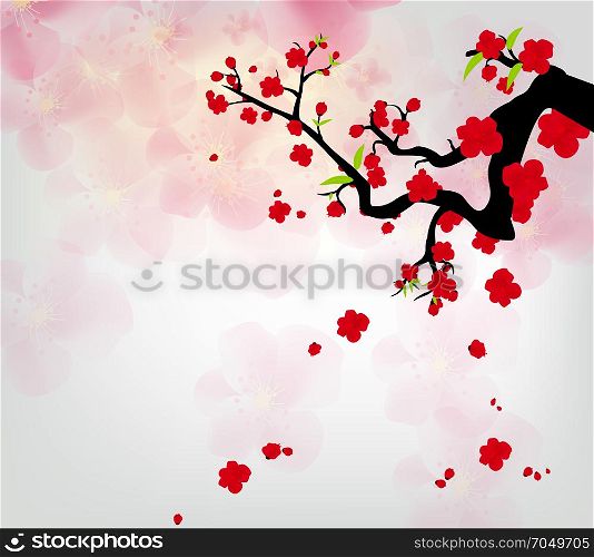 Cherry blossom for Chinese New Year and lunar new year