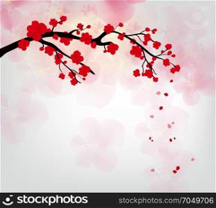 Cherry blossom for Chinese New Year and lunar new year