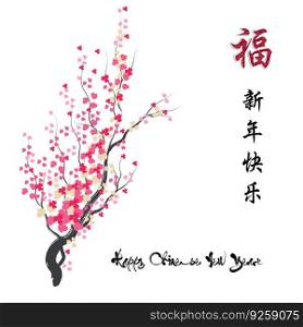 cherry blossom for Chinese new year and lunar new year.