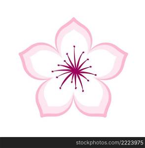 Cherry blossom graphic icon design. Vector illustration.