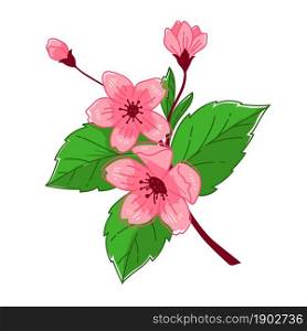 Cherry blossom tree branch, isolated sakura blooming in spring. Flower with tender petals and green leaves, season of hanami in oriental countries. Botany in flourishing. Vector in flat style. Sakura tree in blossom, blooming flower on branch