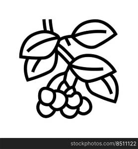 cherry branch line icon vector. cherry branch sign. isolated contour symbol black illustration. cherry branch line icon vector illustration