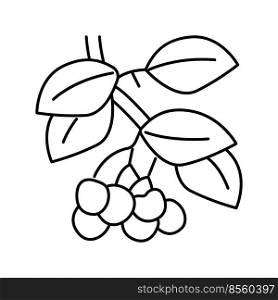 cherry branch line icon vector. cherry branch sign. isolated contour symbol black illustration. cherry branch line icon vector illustration
