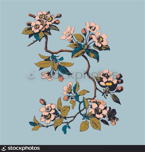 Cherry branches with flowers, sakura vector illustration