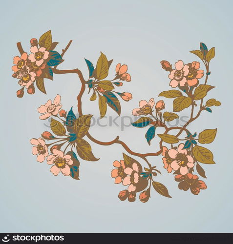 Cherry branches with flowers, sakura vector illustration