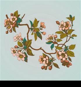 Cherry branches with flowers, sakura vector illustration
