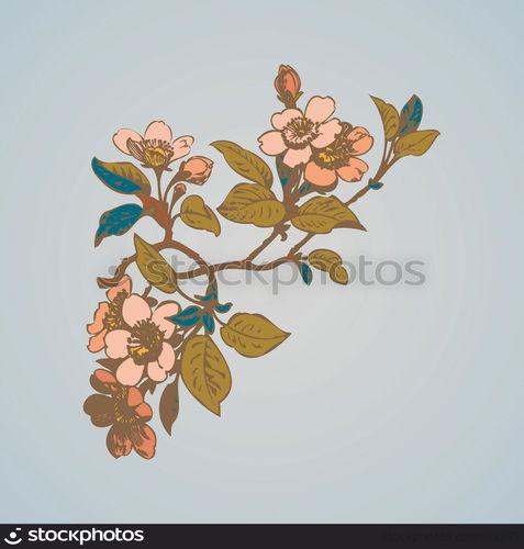 Cherry branches with flowers, sakura vector illustration