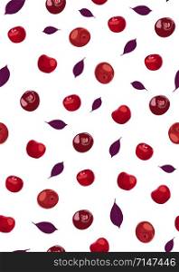 Cherry fruits seamless pattern with red violet leaves, Fresh organic food, Red fruits berry pattern on white. Vector illustration.