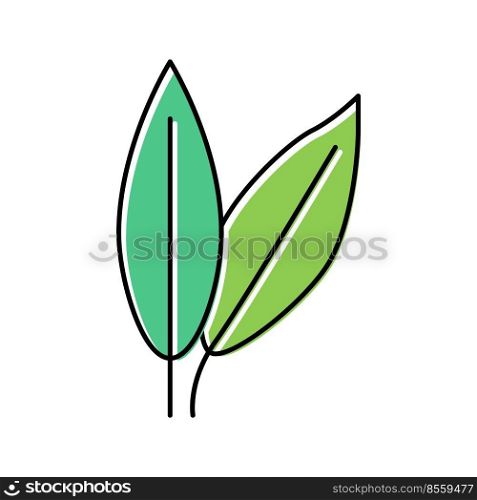 cherry leaf color icon vector. cherry leaf sign. isolated symbol illustration. cherry leaf color icon vector illustration